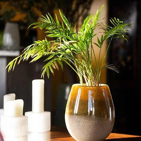 شقة Loft Luxo Alfama By Epic Collection Lisboa